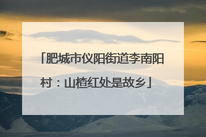 肥城市仪阳街道李南阳村：山楂红处是故乡