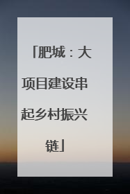 肥城：大项目建设串起乡村振兴链