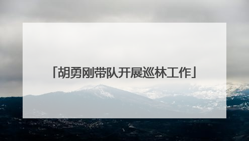 胡勇刚带队开展巡林工作