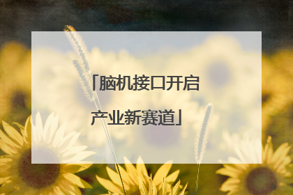 脑机接口开启产业新赛道