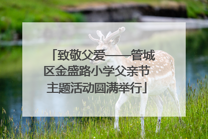 致敬父爱——管城区金盛路小学父亲节主题活动圆满举行