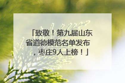 致敬！第九届山东省道德模范名单发布，枣庄9人上榜！