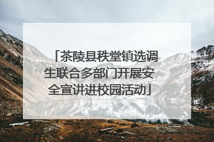 茶陵县秩堂镇选调生联合多部门开展安全宣讲进校园活动