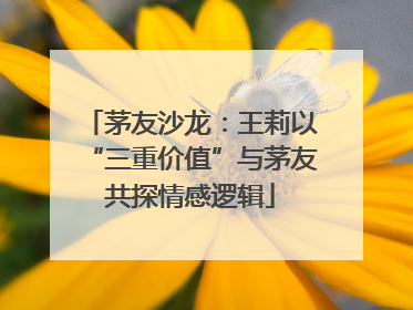 茅友沙龙：王莉以“三重价值”与茅友共探情感逻辑