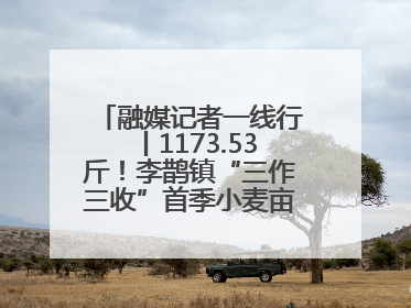 融媒记者一线行丨1173.53斤！李鹊镇“三作三收”首季小麦亩产创新高