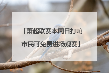 萧超联赛本周日打响 市民可免费进场观赛