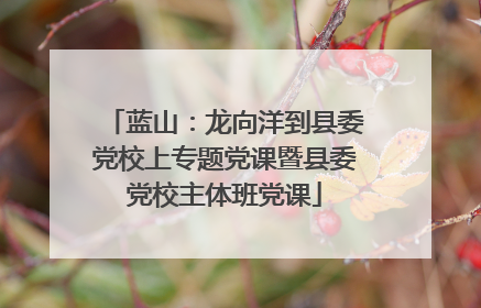 蓝山：龙向洋到县委党校上专题党课暨县委党校主体班党课