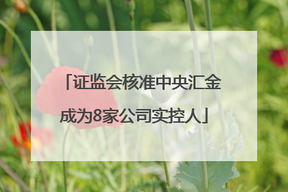 证监会核准中央汇金成为8家公司实控人