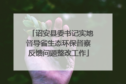 诏安县委书记实地督导省生态环保督察反馈问题整改工作