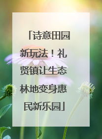 诗意田园新玩法！礼贤镇让生态林地变身惠民新乐园