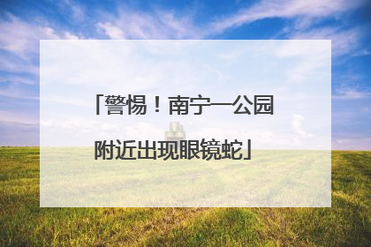 警惕！南宁一公园附近出现眼镜蛇