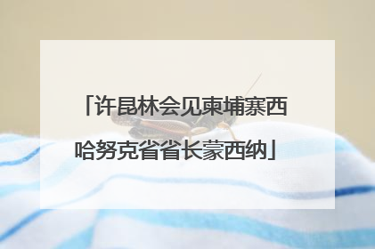许昆林会见柬埔寨西哈努克省省长蒙西纳