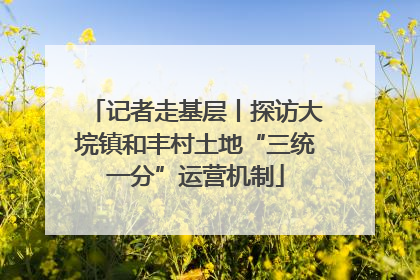 记者走基层丨探访大垸镇和丰村土地“三统一分”运营机制