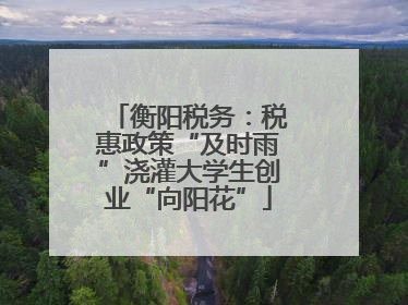 衡阳税务：税惠政策“及时雨”浇灌大学生创业“向阳花”