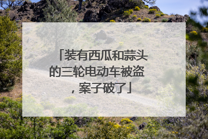 装有西瓜和蒜头的三轮电动车被盗，案子破了