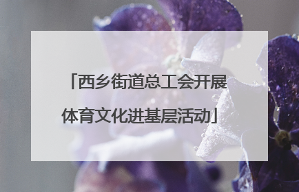 西乡街道总工会开展体育文化进基层活动