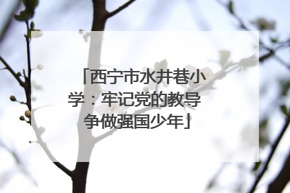 西宁市水井巷小学：牢记党的教导 争做强国少年