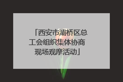 西安市灞桥区总工会组织集体协商现场观摩活动