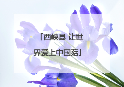 西峡县 让世界爱上中国菇