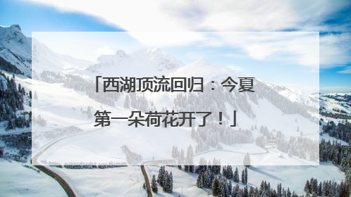 西湖顶流回归：今夏第一朵荷花开了！