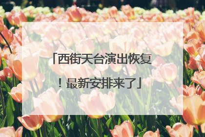 西街天台演出恢复！最新安排来了