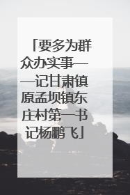 要多为群众办实事——记甘肃镇原孟坝镇东庄村第一书记杨鹏飞