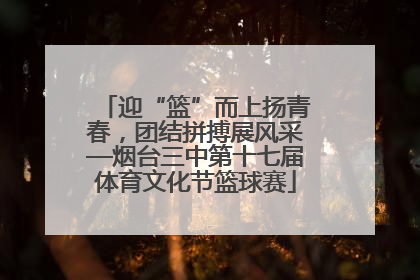 迎“篮”而上扬青春，团结拼搏展风采—烟台三中第十七届体育文化节篮球赛
