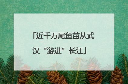 近千万尾鱼苗从武汉“游进”长江