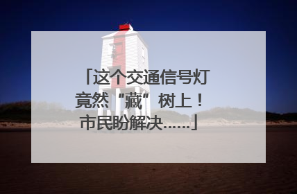 这个交通信号灯竟然“藏”树上！市民盼解决……