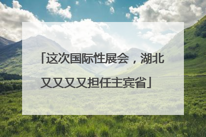 这次国际性展会，湖北又又又又担任主宾省