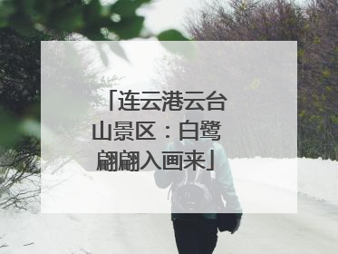 连云港云台山景区：白鹭翩翩入画来