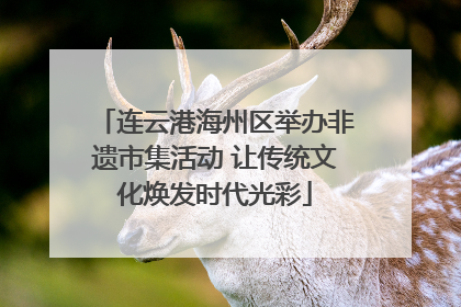 连云港海州区举办非遗市集活动 让传统文化焕发时代光彩