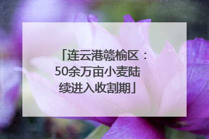 连云港赣榆区：50余万亩小麦陆续进入收割期