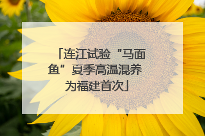 连江试验“马面鱼”夏季高温混养 为福建首次