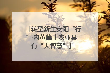 转型新生安阳“行”·内黄篇丨农业县有“大智慧”