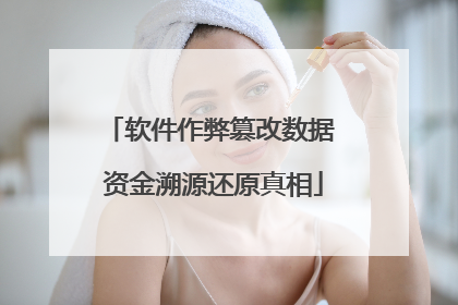 软件作弊篡改数据 资金溯源还原真相