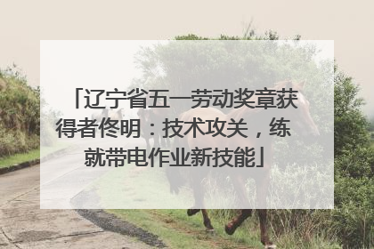 辽宁省五一劳动奖章获得者佟明：技术攻关，练就带电作业新技能