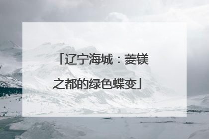 辽宁海城：菱镁之都的绿色蝶变