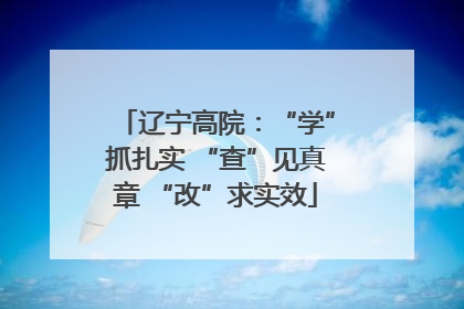 辽宁高院：“学”抓扎实 “查”见真章 “改”求实效