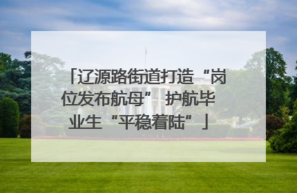 辽源路街道打造“岗位发布航母” 护航毕业生“平稳着陆”