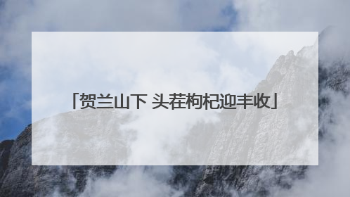 贺兰山下 头茬枸杞迎丰收