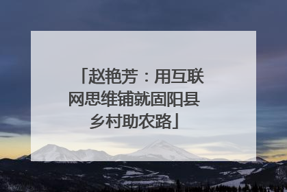 赵艳芳：用互联网思维铺就固阳县乡村助农路
