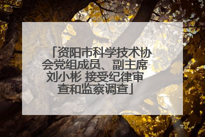 资阳市科学技术协会党组成员、副主席刘小彬 接受纪律审查和监察调查