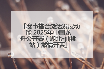 赛事搭台激活发展动能 2025年中国龙舟公开赛（湖北•仙桃站）燃情开赛