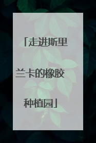 走进斯里兰卡的橡胶种植园