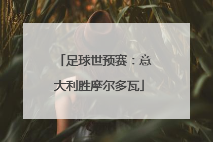 足球世预赛：意大利胜摩尔多瓦