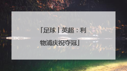 足球丨英超：利物浦庆祝夺冠