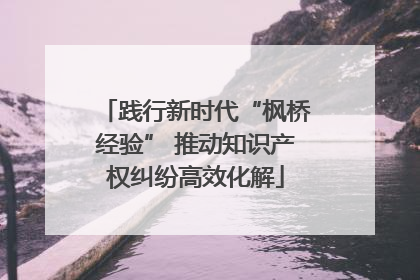 践行新时代“枫桥经验” 推动知识产权纠纷高效化解