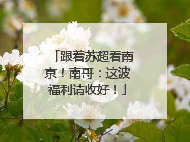 跟着苏超看南京！南哥：这波福利请收好！