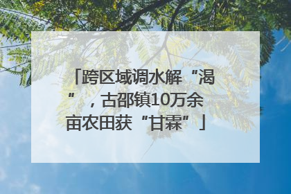 跨区域调水解“渴”，古邵镇10万余亩农田获“甘霖”
